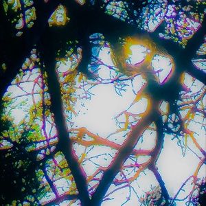 Meet your Posher, Garrett